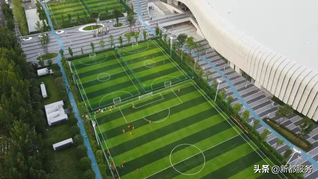 新都是镇还是区啊,什么是幸福的文案