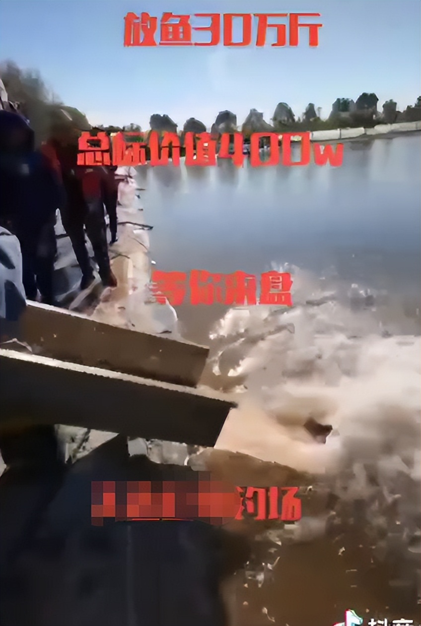 钓鱼被抓88人,钓鱼能发家致富能年入百万