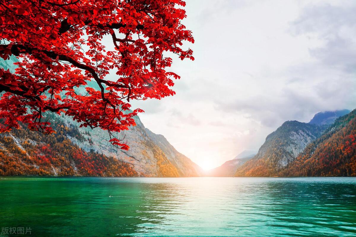 校园霸凌父母怎么教育,碰到校园霸凌家长该怎么做