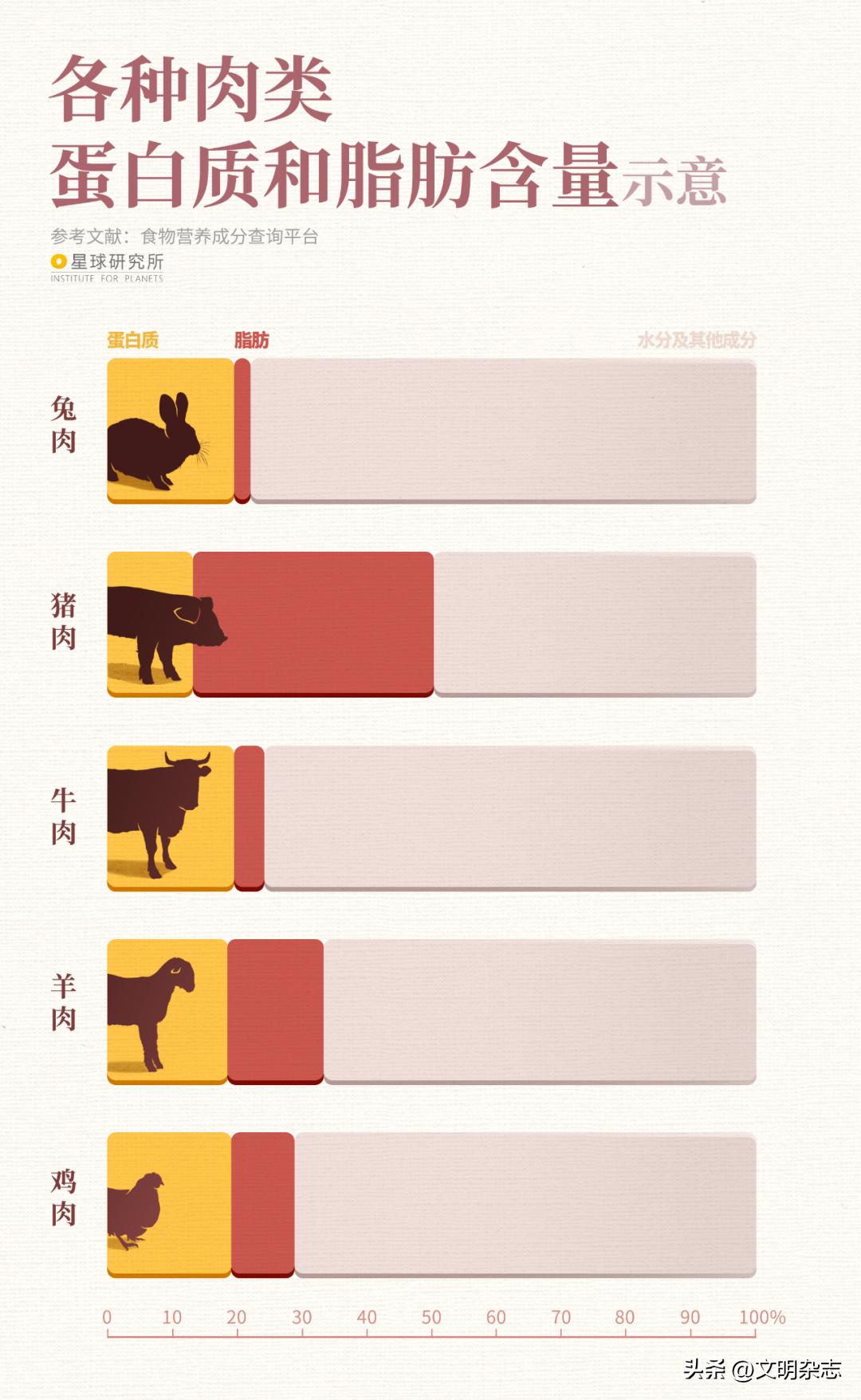 兔子来阳台,兔子来到新家