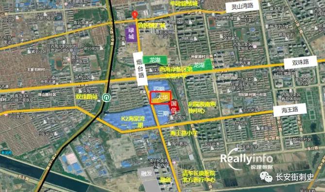 大华业主维权事件,大华维权事件