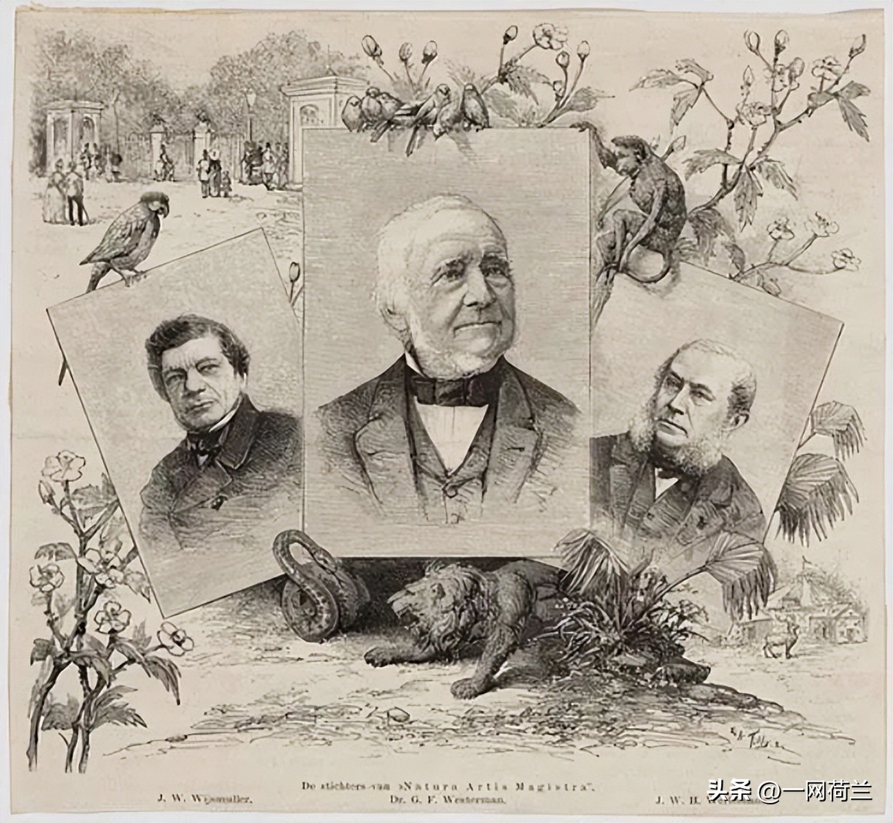 欧洲最古老的动物园,荷兰动物园