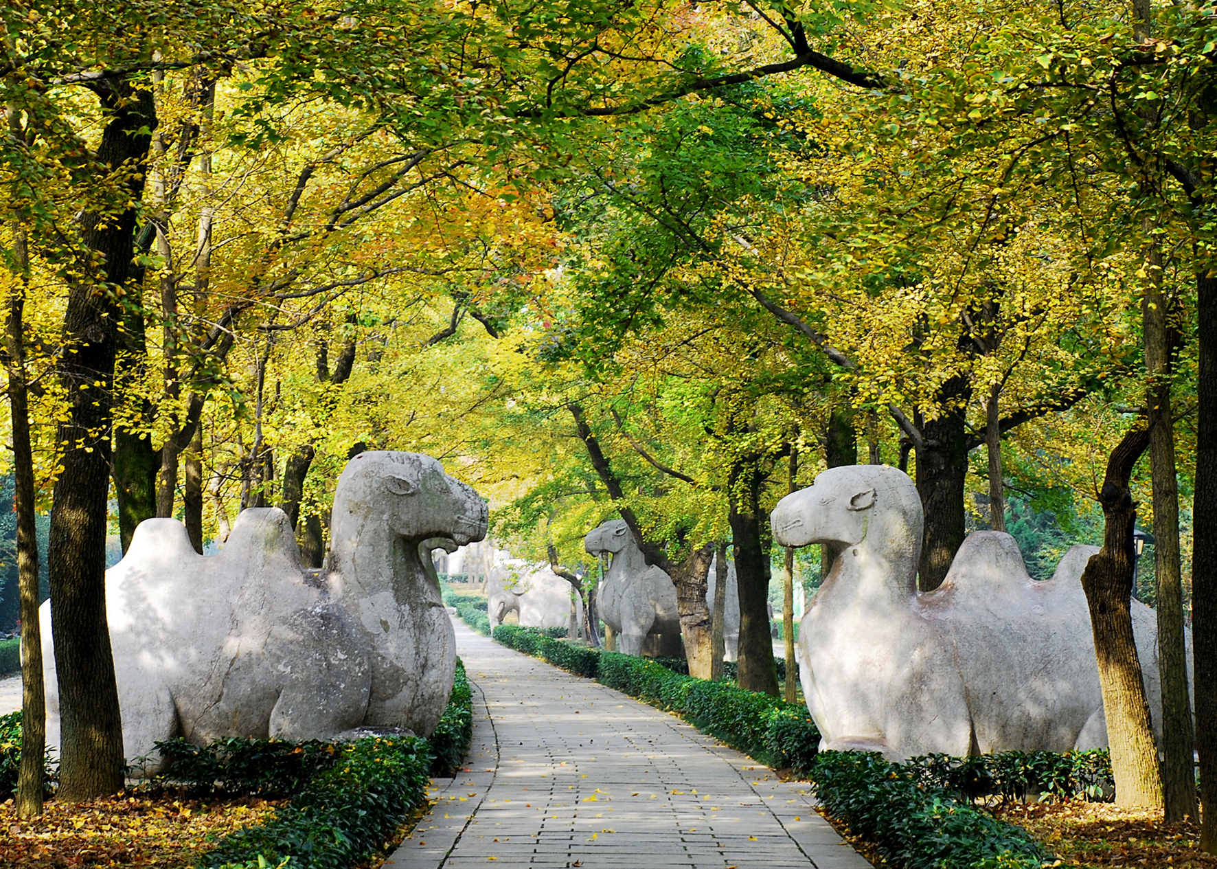 大肆买走明末市舶司全部铜钱的，居然是登陆的海外客商？