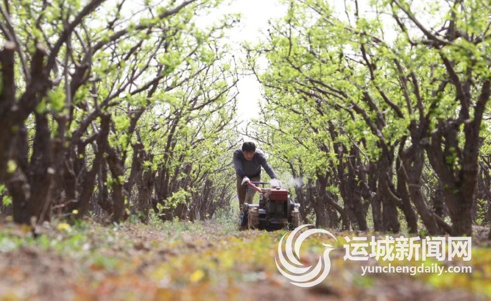 临猗县庙上乡,临猗县庙上乡人口