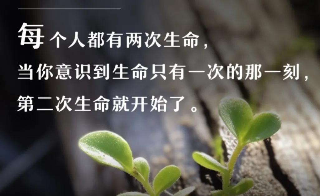 海边捡到漂流瓶钱没了,小伙子海边捡到一个漂流瓶吃烤肠