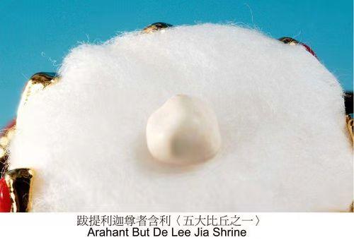 高僧圆寂后为何会出现舍利子,高僧星云大师舍利子