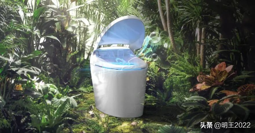 台州最大的智能马桶厂,台州西马智能马桶有限公司