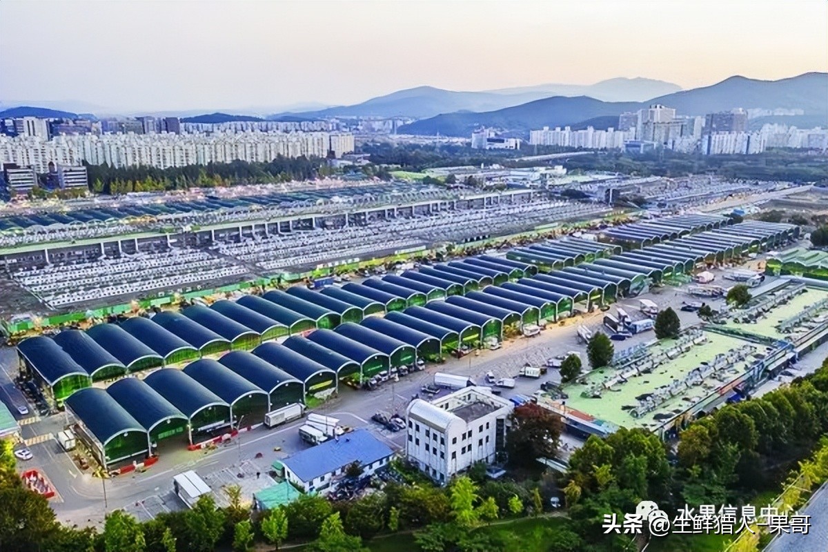 世界第一果蔬批发市场,中国十大果蔬批发市场