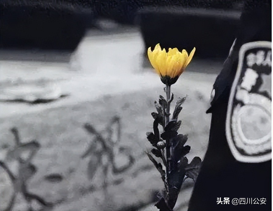 致敬缅怀奋进2022清明云诗会,缅怀先烈砥砺奋进清明扫墓活动