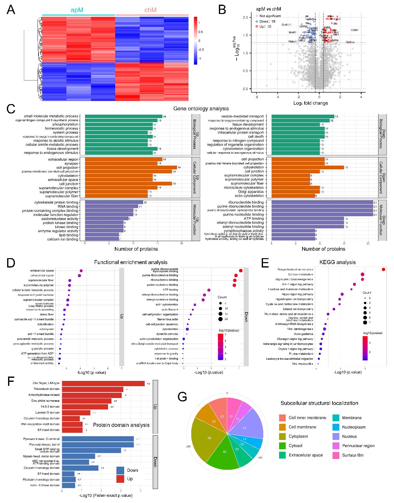 骨关节炎诊治要点及研究进展,骨性关节炎最新研究成果