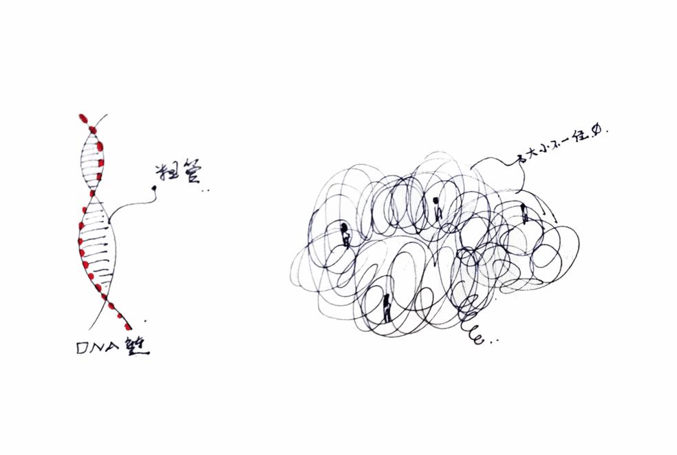 张唐景观手绘,张唐景观作品
