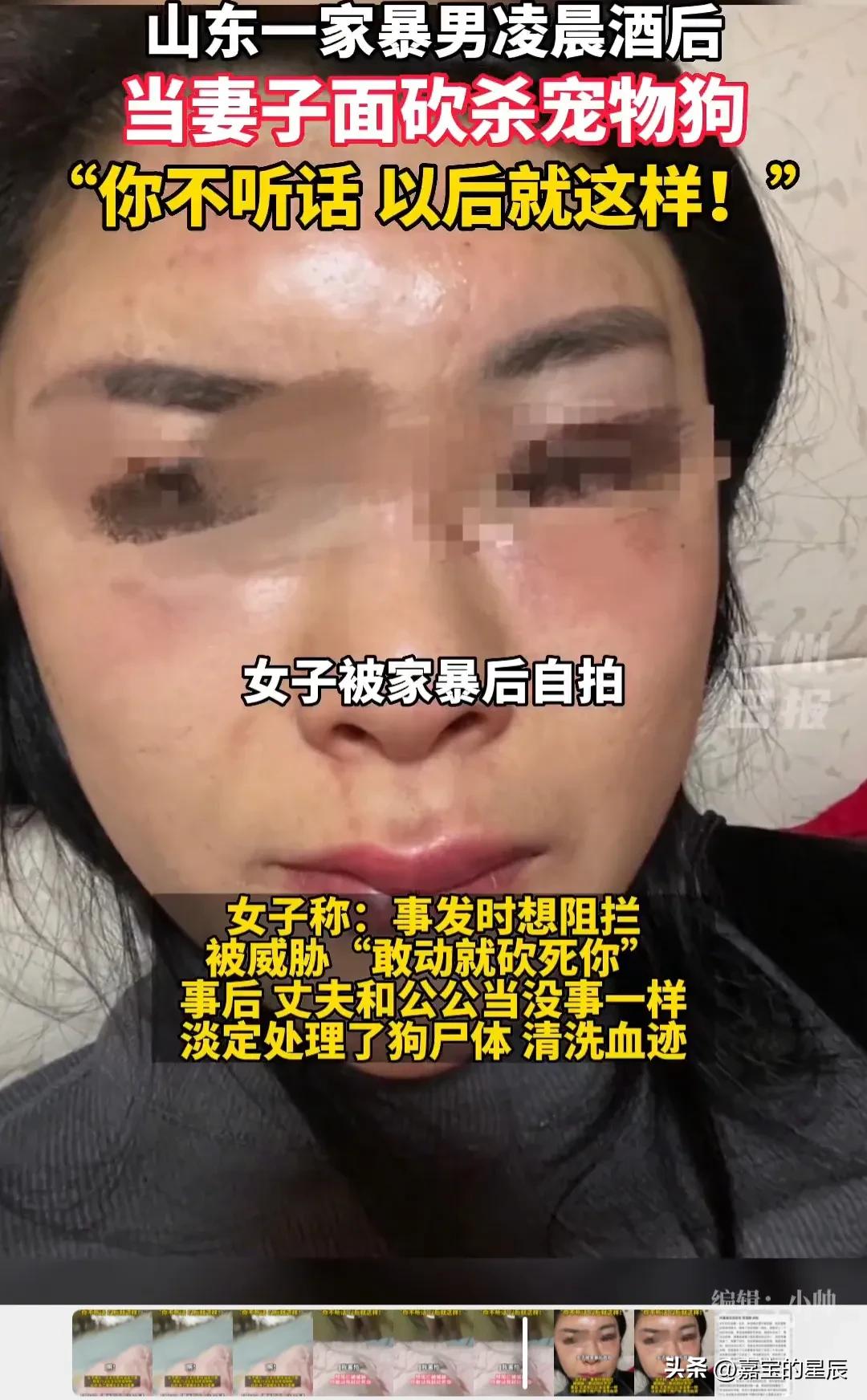 山东菏泽女子爆丈夫家暴柯基狗被当面砍死视频,家属领导要求撤销