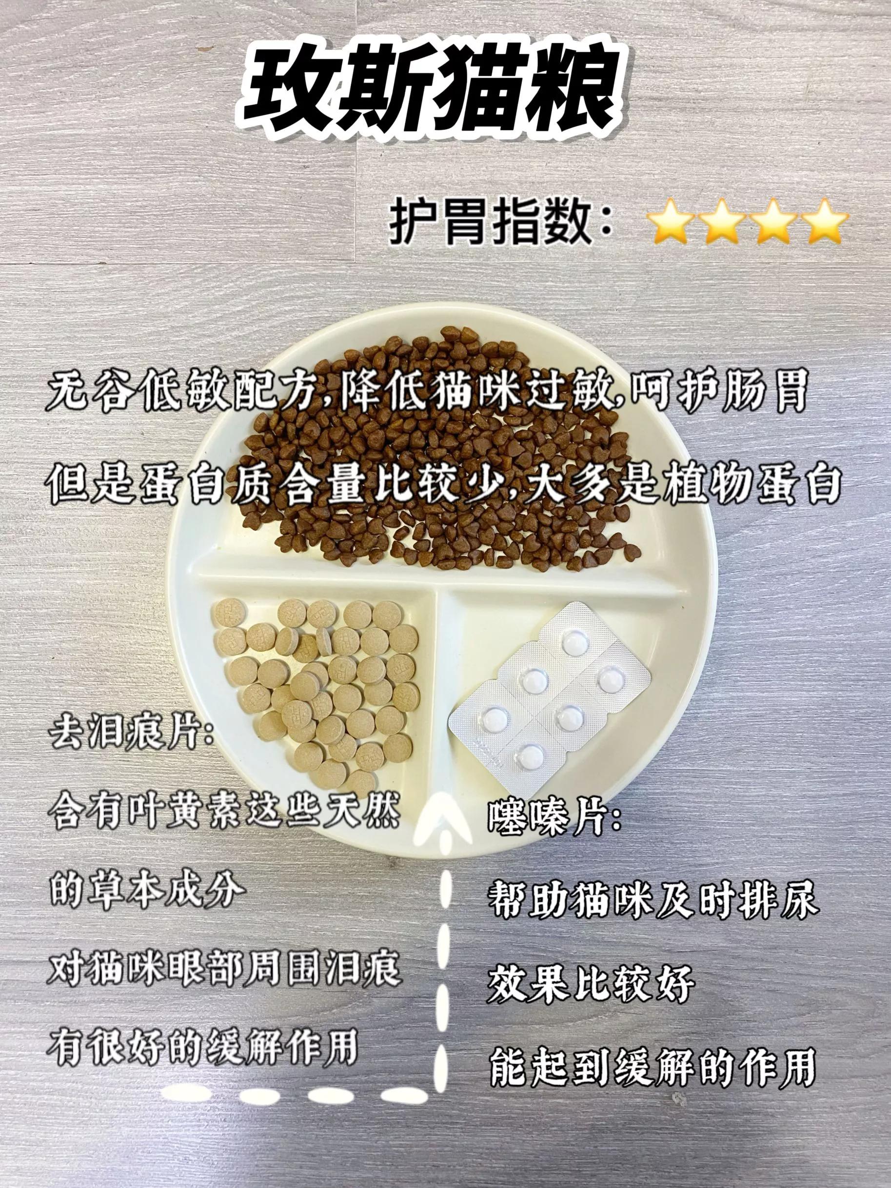 月均花费200低成本养猫攻略,月收入2000养猫