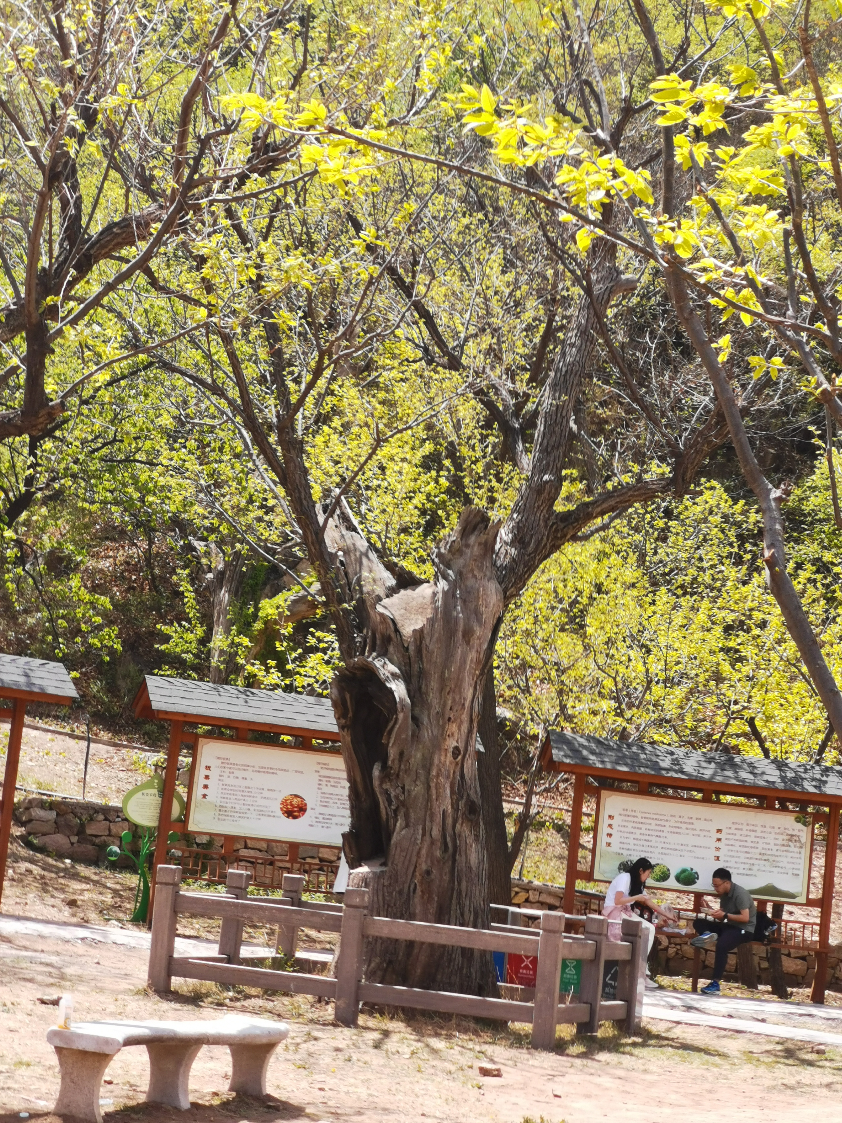 黄花城水长城旅游攻略,行走万里长城之旅