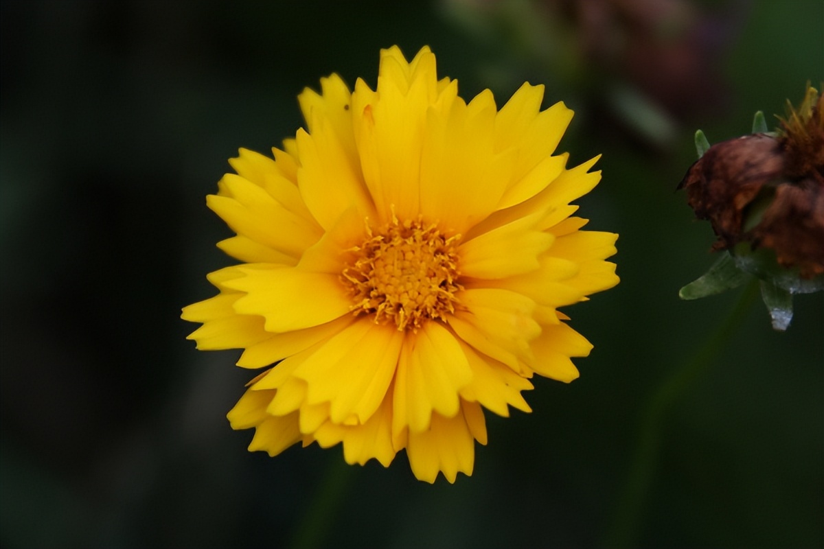 男友一直保证会和我在一起，但是见到我姐姐后，把我甩了