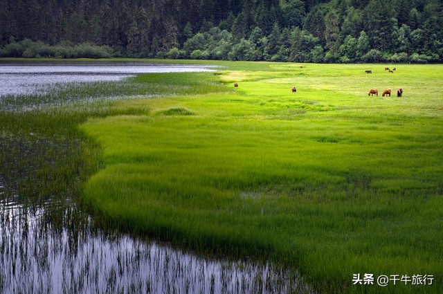 云南必去的4个景点,云南网红打卡景点