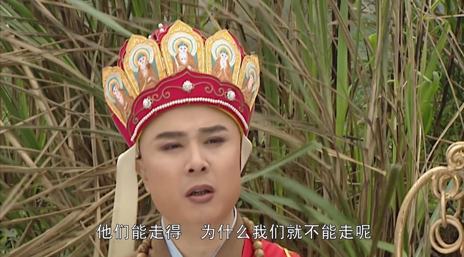 吃了人参果真的是长生不老吗,怪不得吃人参果能长寿