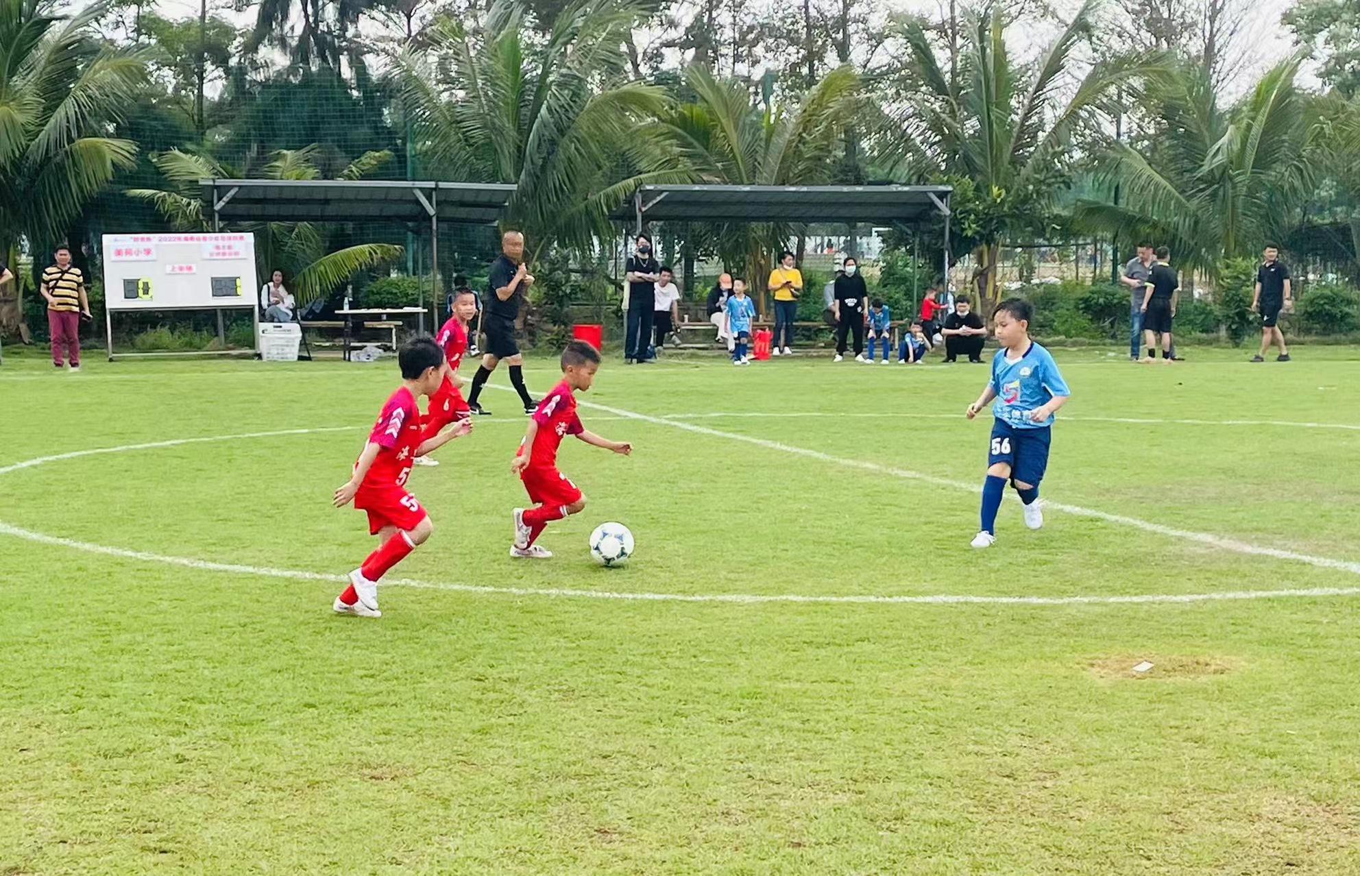 广东民间青少年足球联赛u6,2024全国青少年足球联赛u15组大连