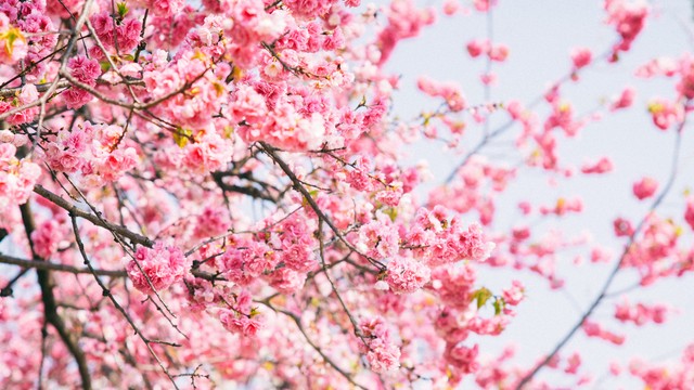 全国冬季最值得去旅游的10个地方,最适宜旅游的10个国家