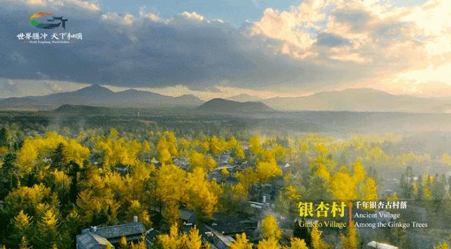 年度最佳22℃暖冬小城!全国唯一半城银杏,半城温泉!现在来刚好