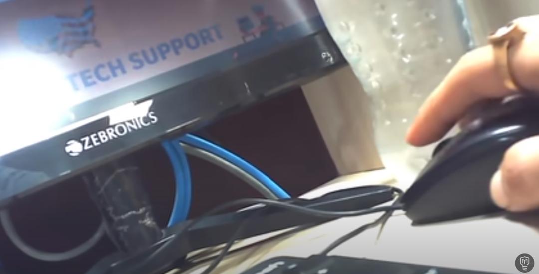 用伟哥、蟑螂和臭气弹，几位侠客对印度诈骗团伙进行了正义制裁