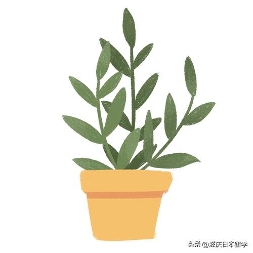 日本高中填报几所合适？（内附择校指南）