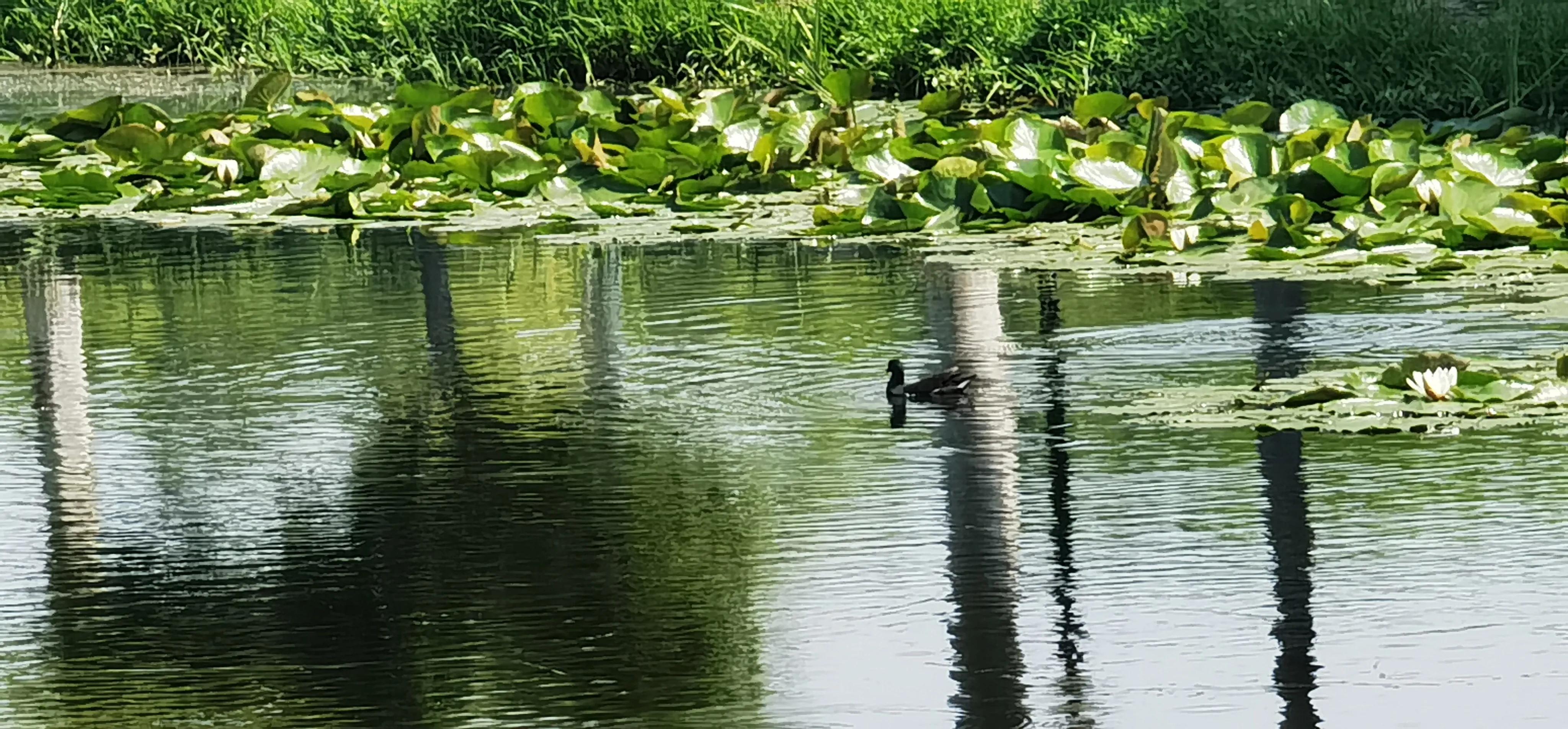 合肥附近带两个娃去哪里玩,推荐带娃好去处周末合肥