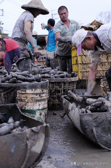 新型家庭农场的致富路,家庭农场的发展红利又将迎来高潮