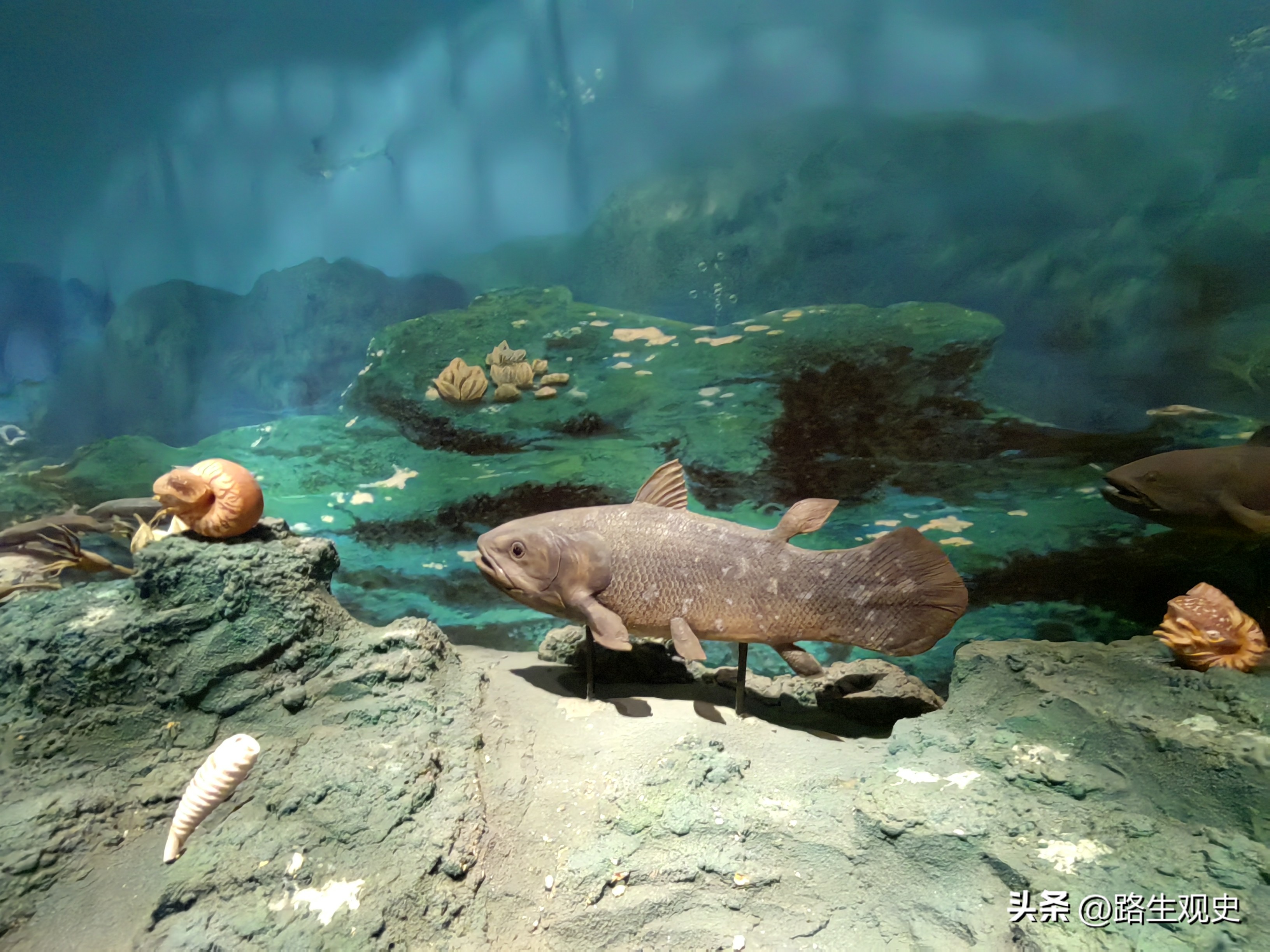 内蒙古恐龙遗迹有哪些,内蒙古草原几百上千年前是海吗