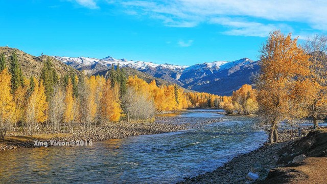 伊犁是一个什么样的城市,伊犁是怎样的地方