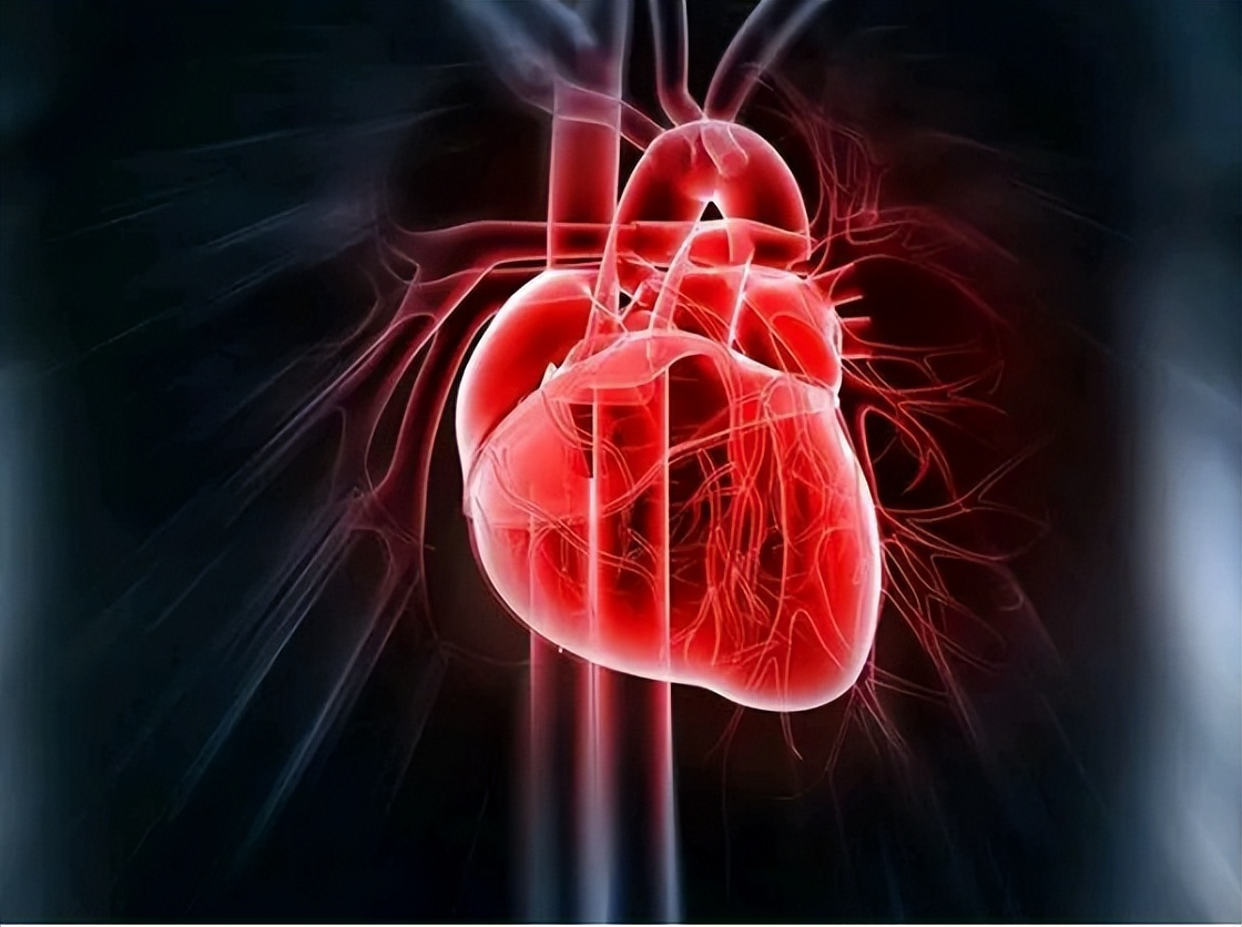 最新国际正常心率范围,心跳多少次算正常范围