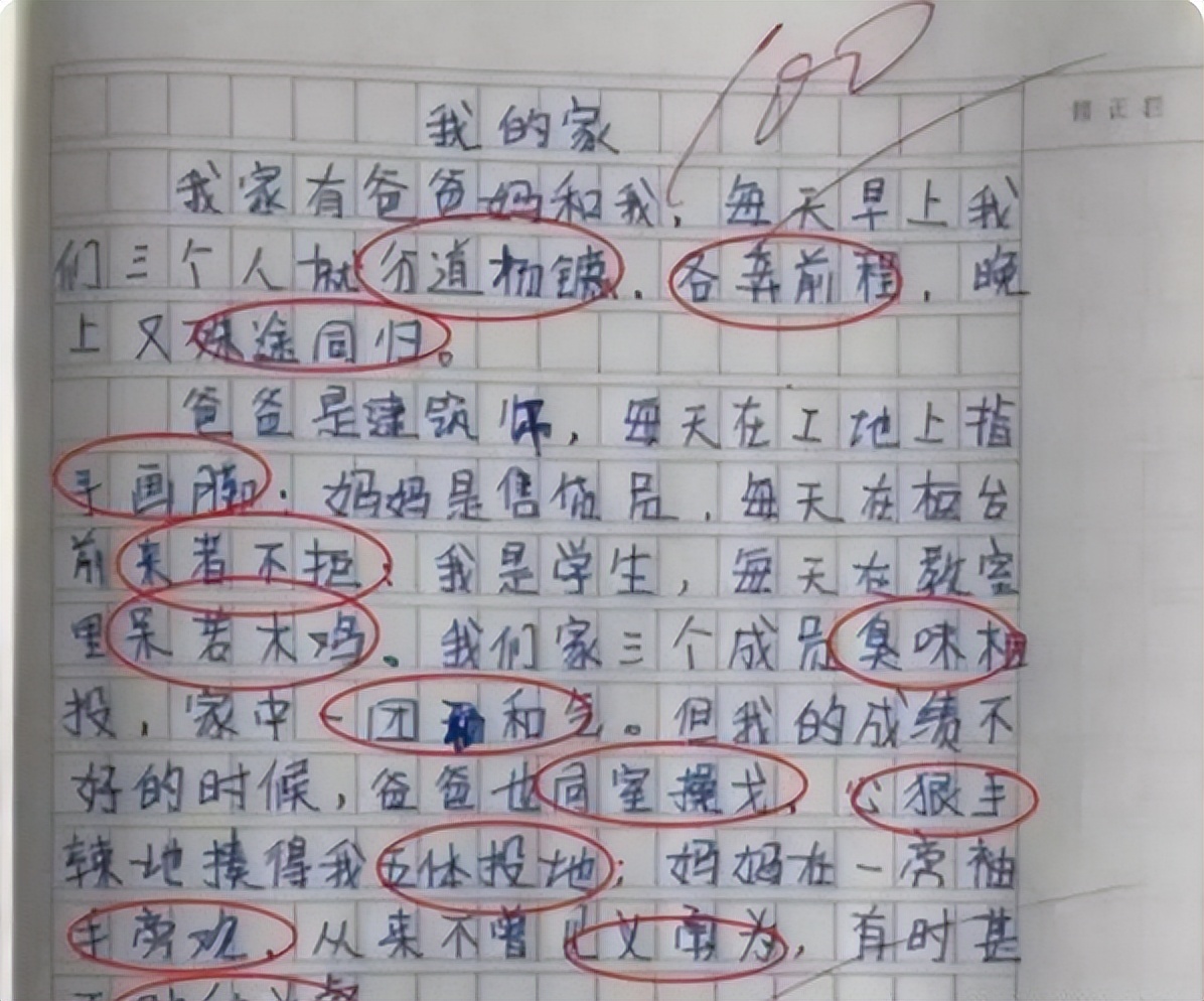 小学生作文女生,小学生作文女孩真好