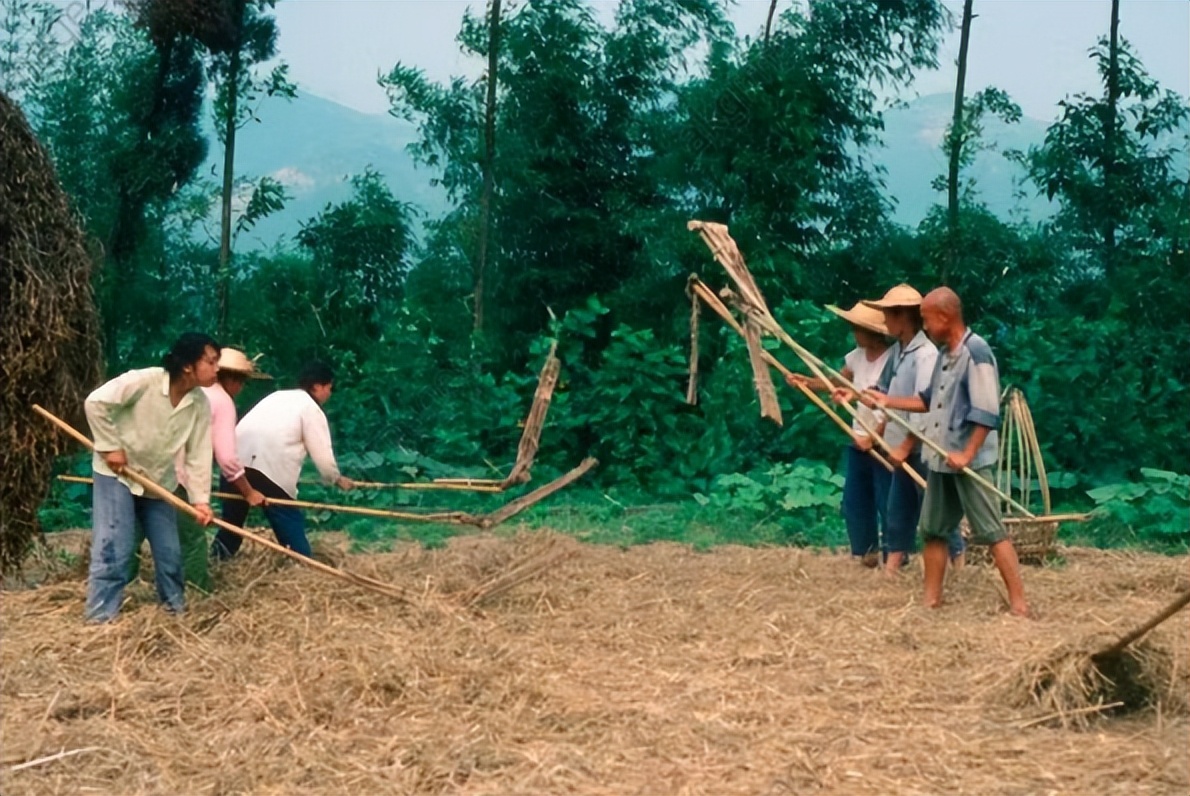 新农合涨价还能继续交吗,新农合涨价六类人不用交