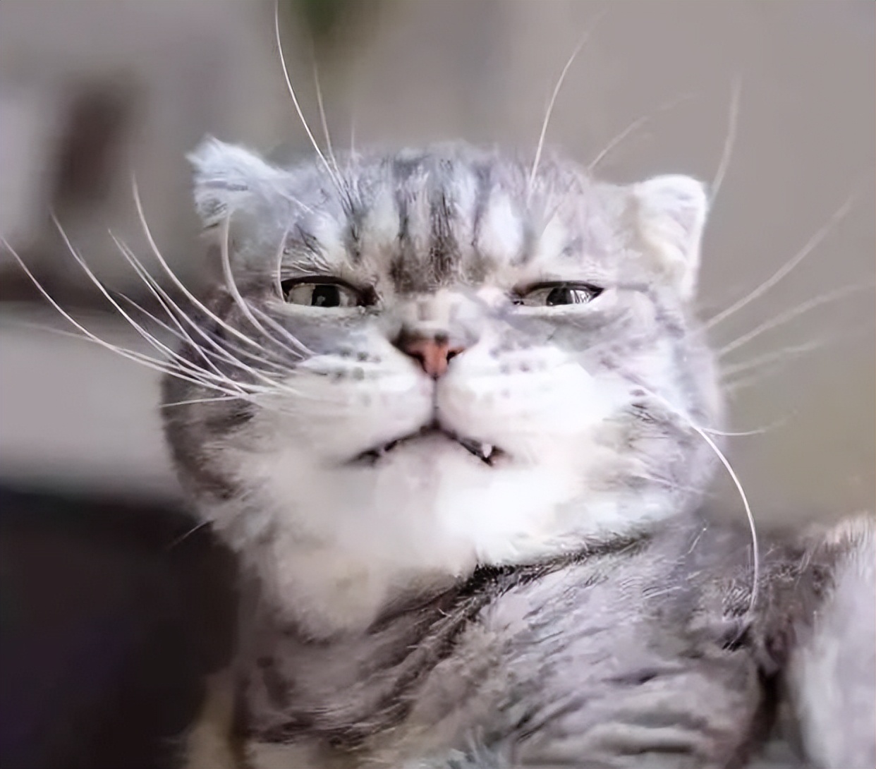 上厕所为什么又叫解手,上厕所为何叫解手