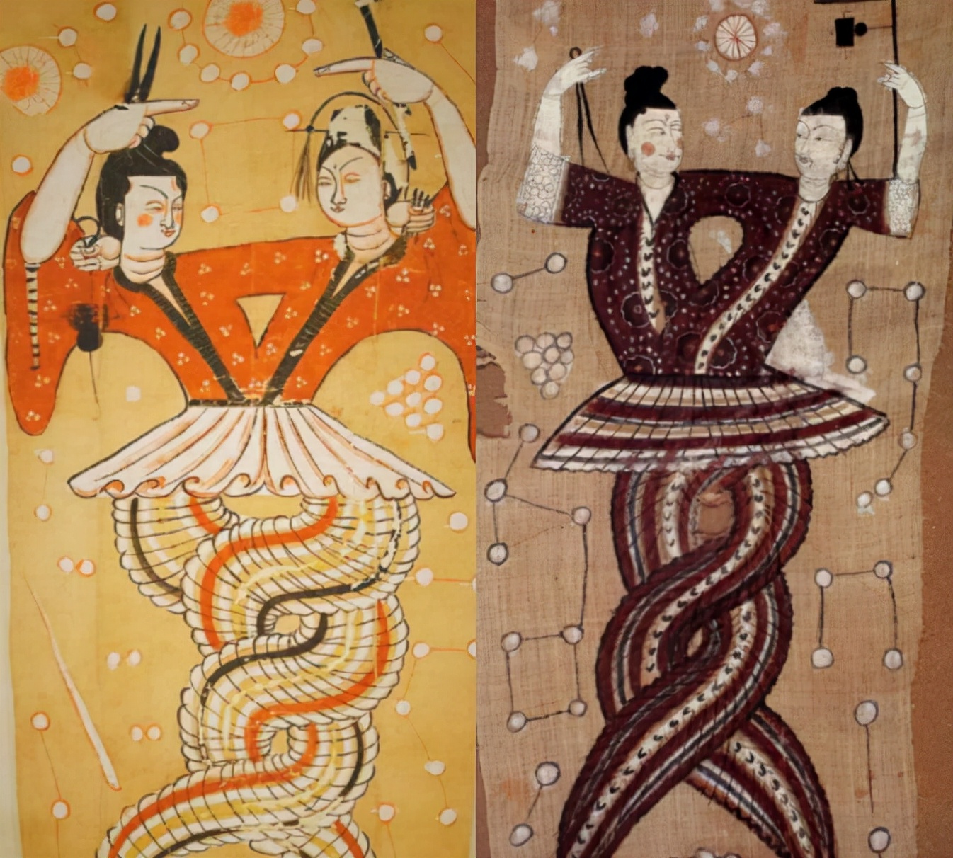 全球第一毒蛇在中国莽山烙铁头,最稀有的毒蛇莽山烙铁头