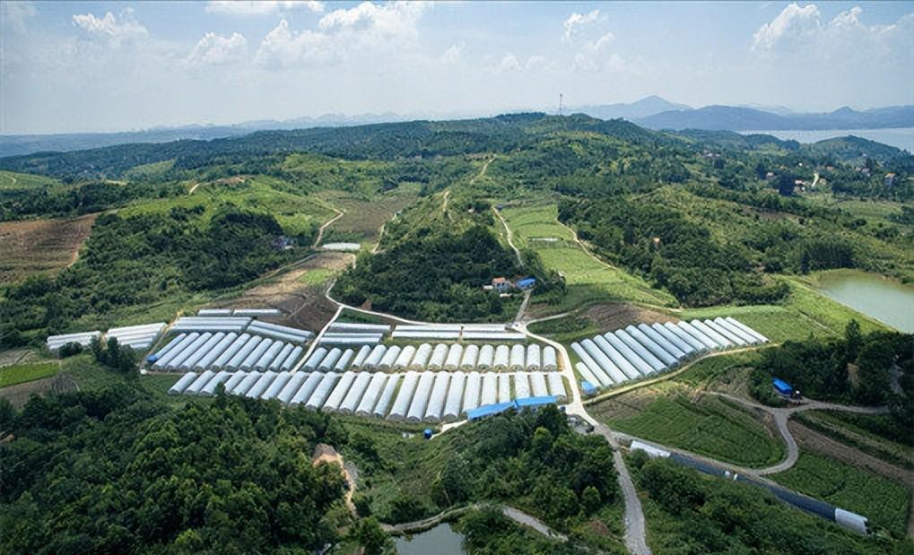 八大创业项目扶持政策,低成本创业扶持项目