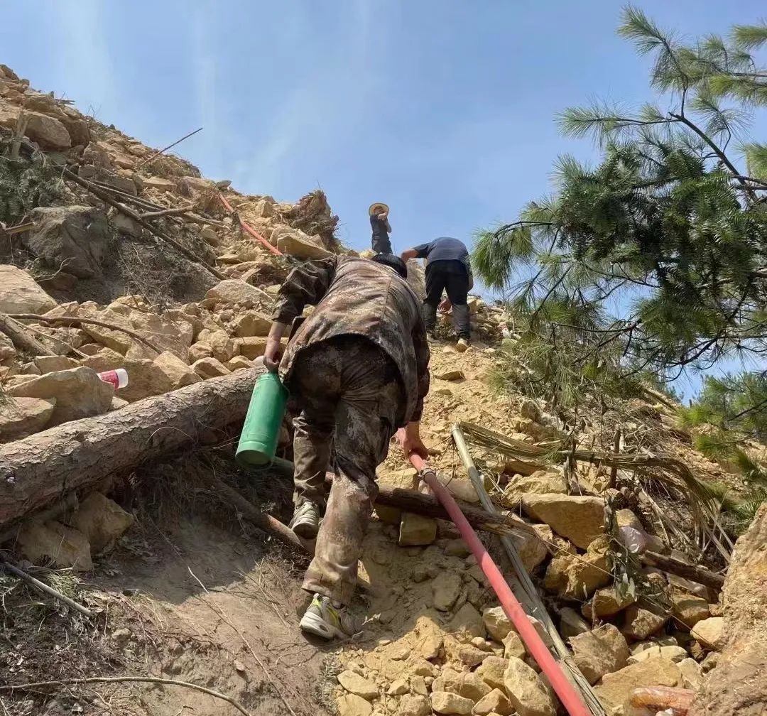 重庆山火小伙子挺身而出,重庆山火退伍军人群体挺身而出