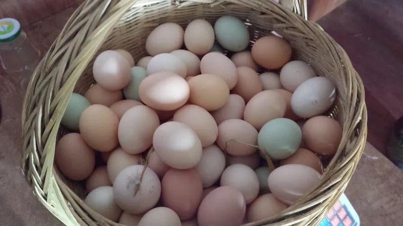 农村赶集时这4类东西，多半都是假货，快看你有没有买过！