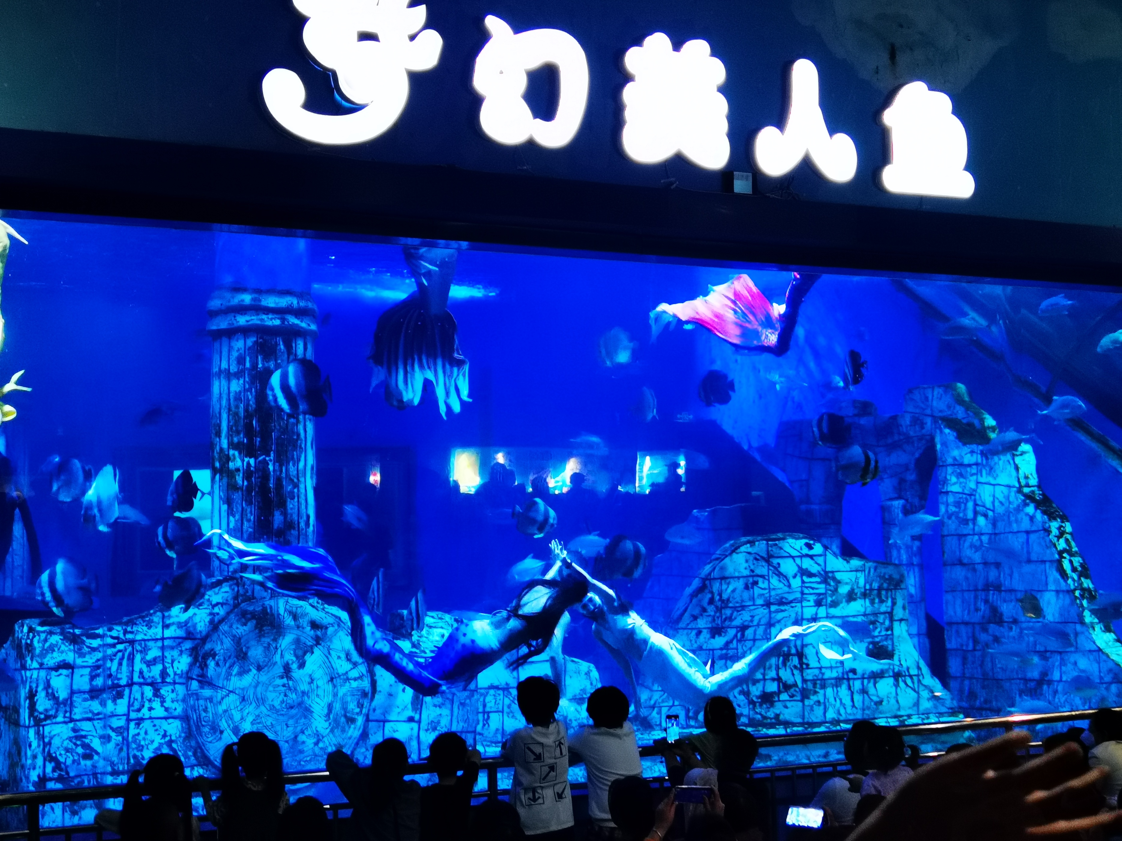 寿光极地海洋游记,五一寿光海洋极地世界