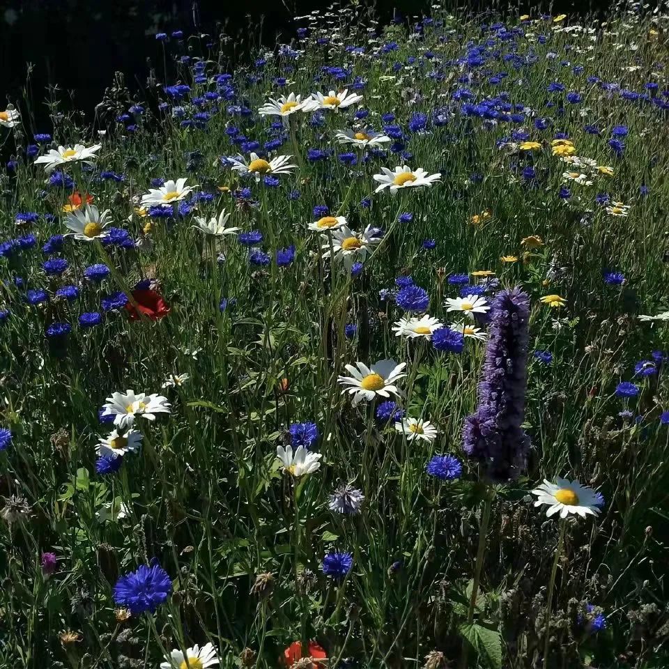 写进作文的励志文案,作文翻过那座山励志文案