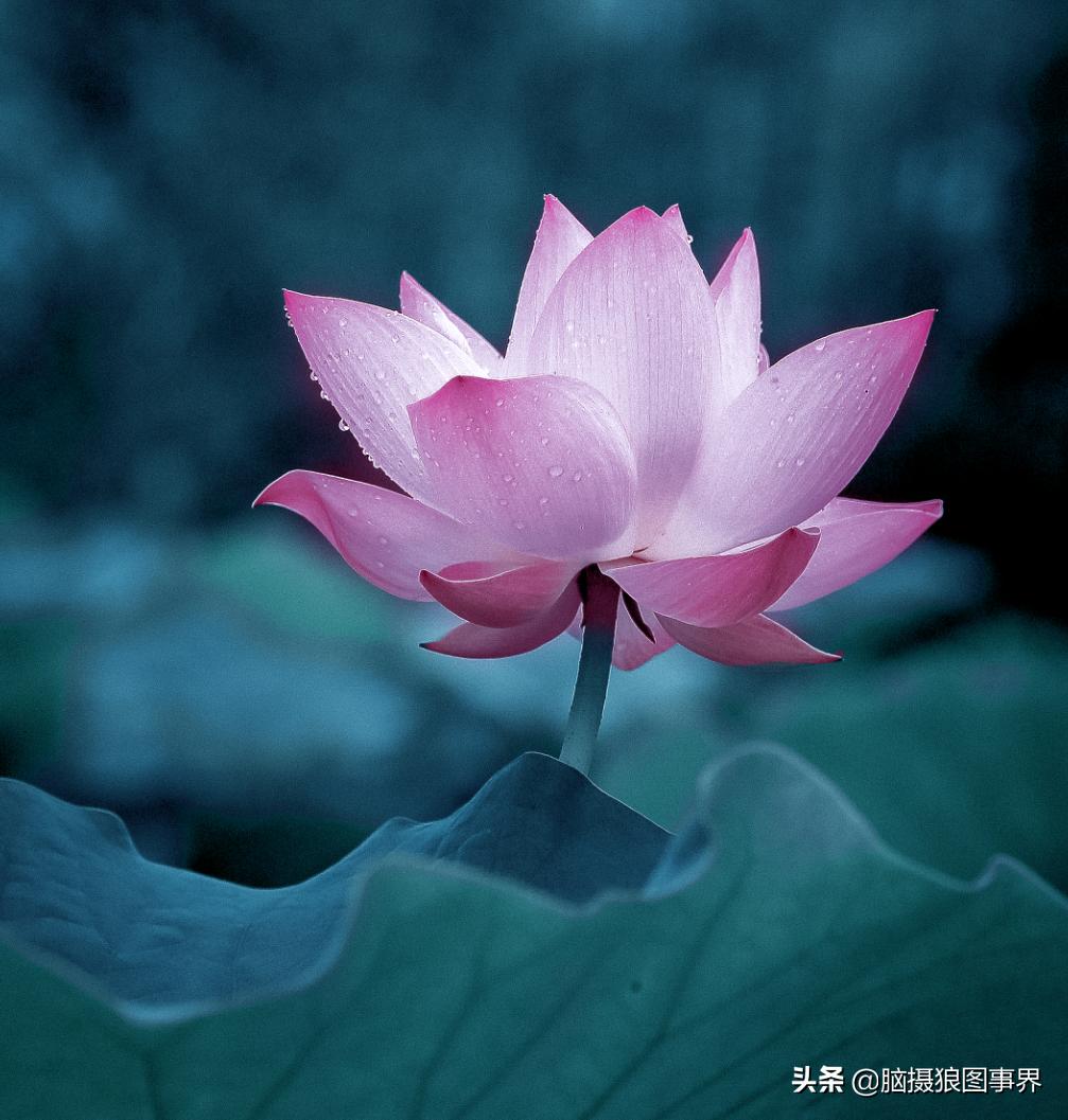 拍照如何确保对焦准确,拍照时对焦很难对上