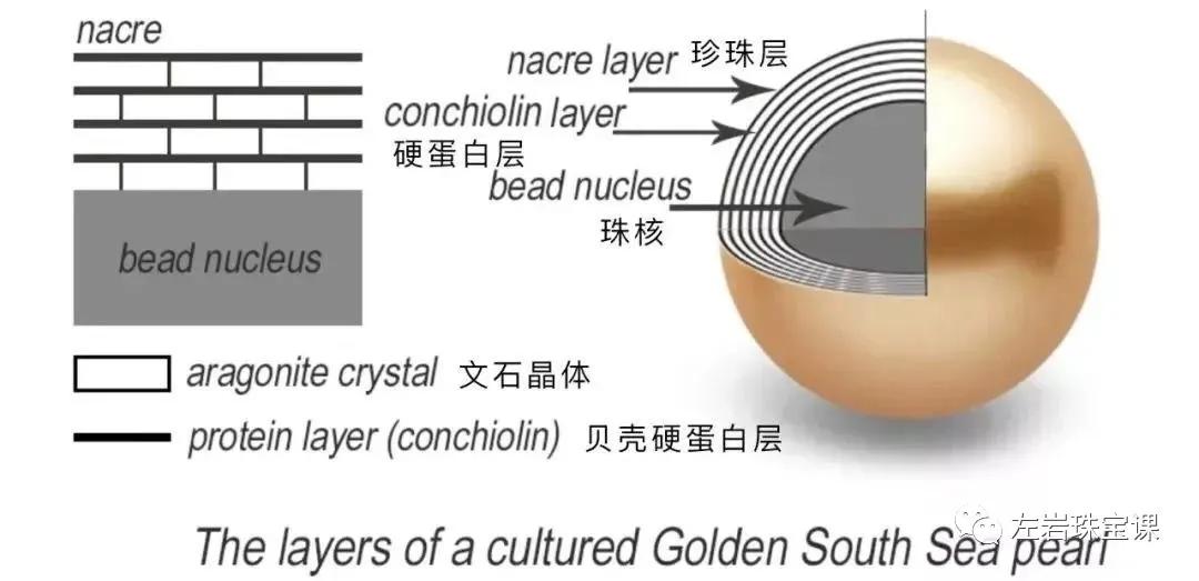 南洋金珠最经典的款式,南洋金珠的功效与作用
