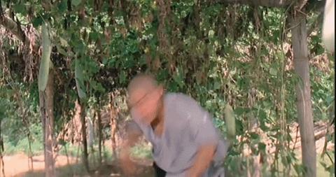 螳螂拳大师于海照片,螳螂拳于海李连杰