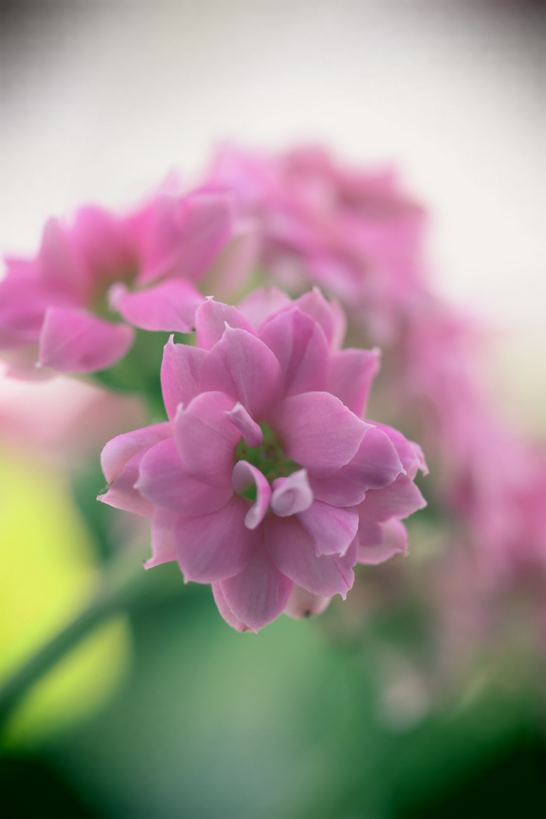 eos佳能轻便小巧,佳能微型相机eos