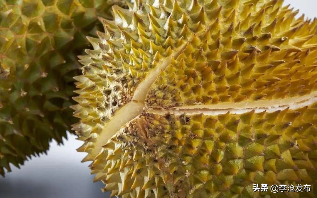 买榴莲切勿贪图便宜,买榴莲别被坑