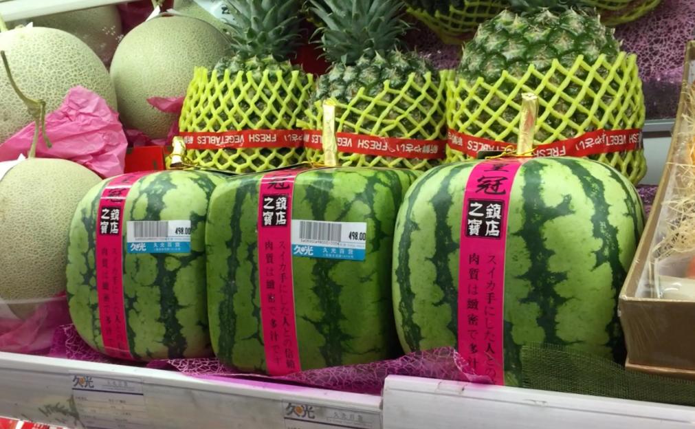 韩国1个西瓜卖100元,日本为何不进口西瓜售卖呢