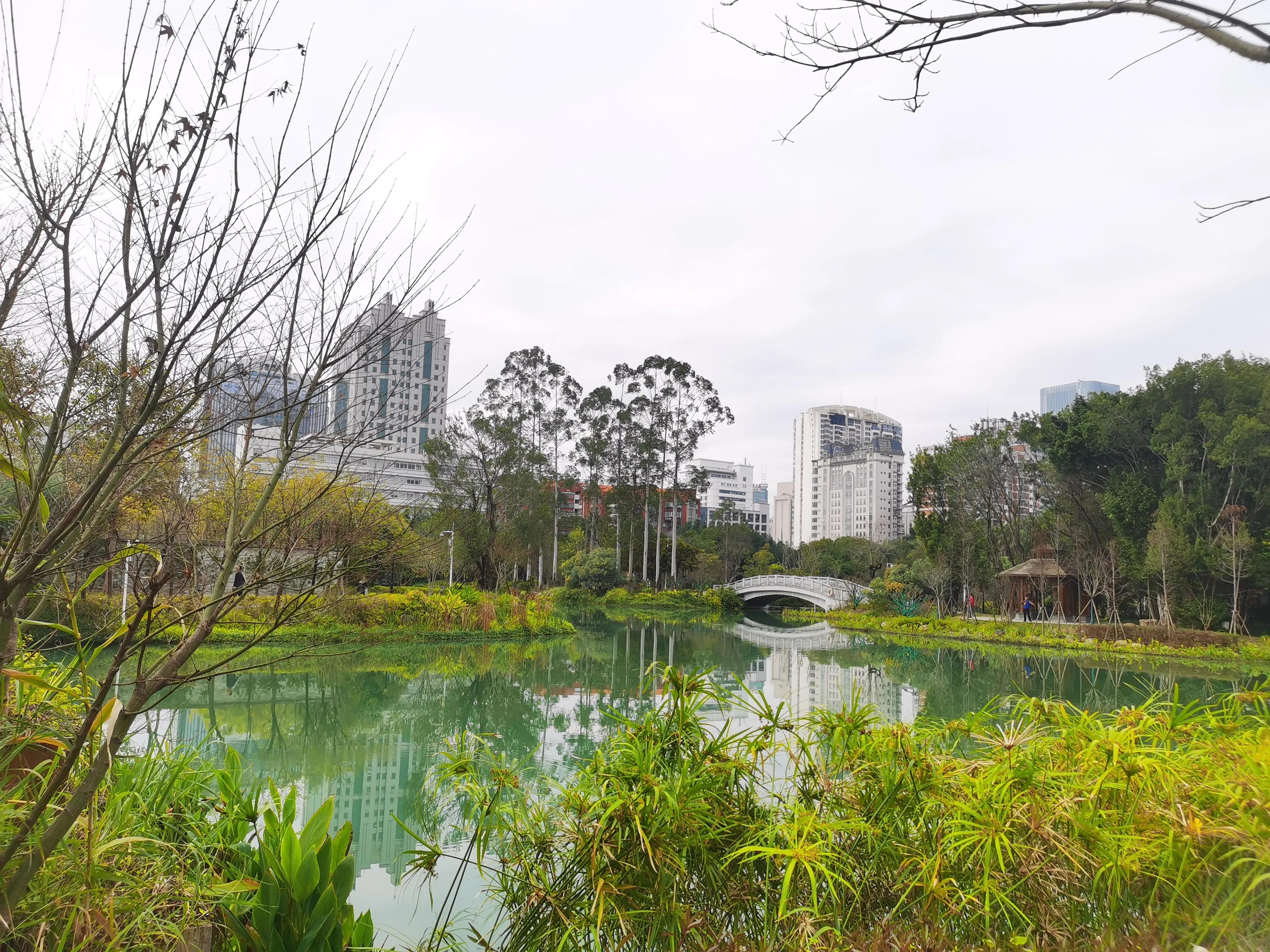 漫步在温泉河湿地公园,漫步福州静谧与繁华
