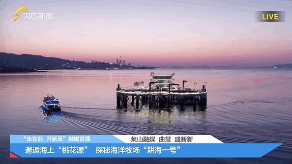 疯狂连更！山东这场持续两个月的直播，观看量超3.7亿