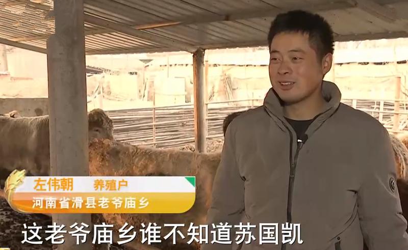 致富经苏国凯养牛,苏国凯养牛