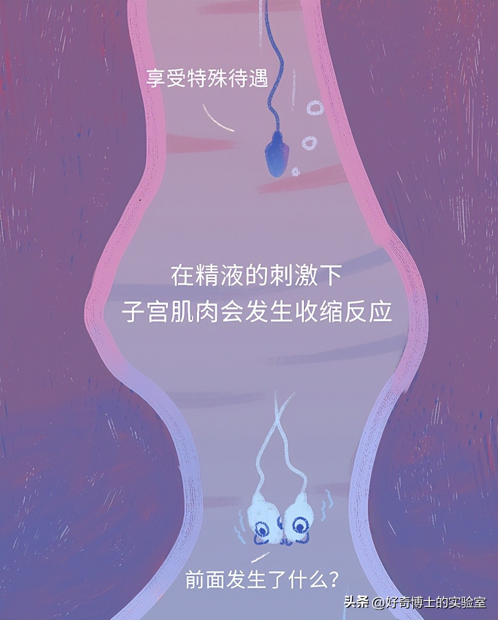 精子进入人体1小时变化,精子进入人体24小时变化